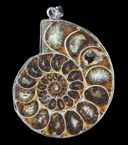 Fossil Ammonite Pendant - Million Years Old #83129